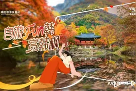 长达3个月！“自游FUN韩赏韩枫”来了图片