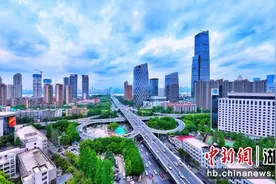 武汉市江岸区：推动建设国际消费中心城市先行示范区图片