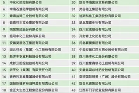 2024中国化肥企业100强榜单发布图片