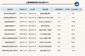 公募REITs四季报出炉，全年业绩达成率情况良好，上周总市值突破1700亿元图片