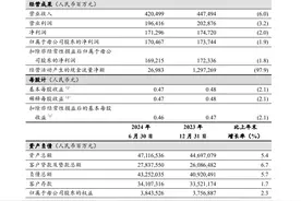 速看！工、农、建、中等中国31大银行2024年上半年财报汇总图片
