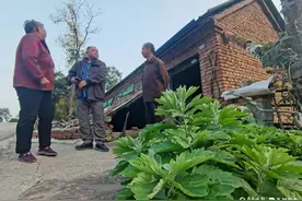 接地气，悠闲自得的乡村生活图片