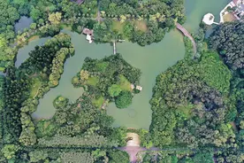 构建“水下森林”，华南国家植物园生态湖入选广州市美丽河湖图片