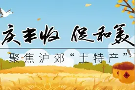 做好“土特产”大文章丨奉贤打造黄桃“金色传说”图片