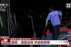 又是开渔季！走，跟着记者去赶海“寻鲜”图片