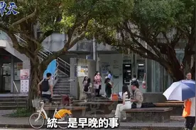 日月谭天丨棒打“黑熊”令人拍手称快！“‘台独’是绝路”已越来越清晰图片