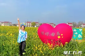 阳春三月，南县邀你畅跑罗文花海图片