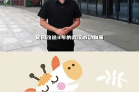 亲测实用！武汉动物园出行攻略看过来！图片