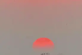 花地·大学文苑｜沈定坤：结绳记事，闲适生活图片