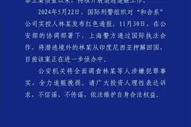 涉嫌非法集资，“和合系”实控人林某被押解回国图片