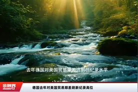 德国去年对美国贸易顺差刷新纪录高位视频封面