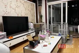 住不进校内的专硕生：上课“通勤”久、有人房租是学费的3倍图片