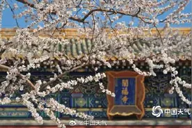 春到便繁华！被春天这满屏幕的花花包围了图片