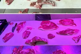 12月起，“生鲜灯”将被禁图片