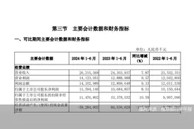 南京银行业绩“提前”放榜：上半年归母净利增长、个贷不良走高图片