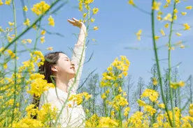 快来崇明花海打卡，拍照超出片图片