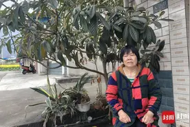 悉心照顾瘫痪丈夫25年，四川绵竹这个妻子成为后辈心中“最好的舅妈”｜看见正能量图片
