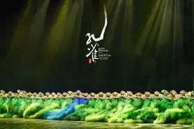 周末有戏｜杨丽萍携舞剧《孔雀》登台惠州，连演4场图片