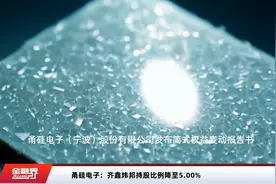甬硅电子：齐鑫炜邦持股比例降至5.00%视频封面