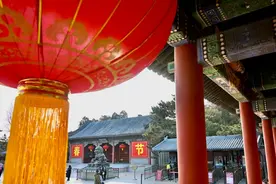 皇家园林赏梅寻龙 颐和园中过风雅中国年图片