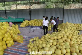 荔波：积极推动农产品转化为旅游商品图片