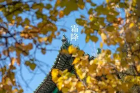 协和医生说｜当重阳遇上霜降，老年人这样“养”图片
