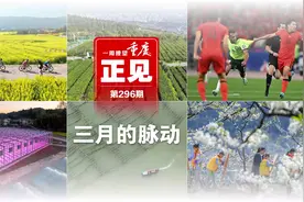 正见 第296期｜三月的脉动图片