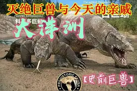 【灭绝巨兽与今天的亲戚】大洋洲篇图片