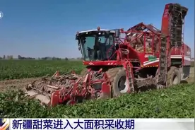 从地头到车间 科技助力“甜蜜”丰收图片