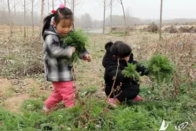最忆是乡间图片