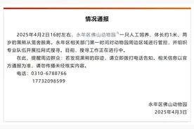 黑熊出逃，紧急闭园！最新情况图片