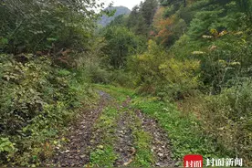 傥骆道上，一座小城的死与生｜寻路蜀道图片
