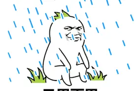 雨天超车遭遇“泼水节”！积水飞溅惹事故 | 知危险会避险图片