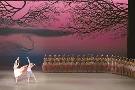 《朱鹮》翩跹，开启大规模海外巡演图片