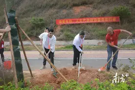 电白探索优化人大代表履职机制，“三个聚焦”提升服务实效图片
