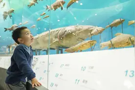 过个非遗年｜北碚：博物馆里度新春图片