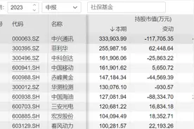 最新持股情况出炉！社保基金买了啥？图片