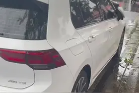 路旁树干断裂砸穿车挡风玻璃，女子：刚下车10分钟图片
