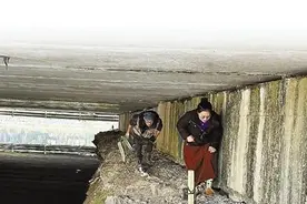 在舟山金塘，水獭出没！有人化身“铲屎官”……图片