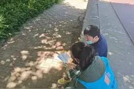 寨上街道：用绿色行动共建美好家园图片