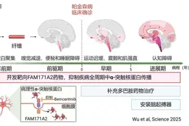 我国科学家发现帕金森病治疗新靶点图片