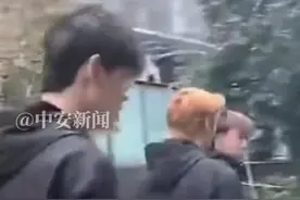 潮评丨三个小伙不光彩的“免费午餐”，何以能连吃一个月？图片