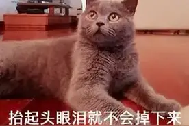 邻居加装外开式防盗门，妨碍自家出入，起诉了……图片