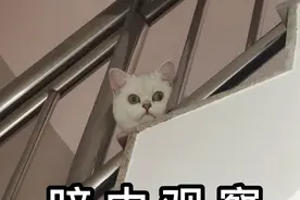 观海杂话铺453 | 许愿生发被拒绝？挺“秃”然的！拿什么拯救你，我的头发图片
