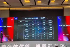 中国隐形独角兽企业500强估值首破2万亿元！超杭州GDP图片