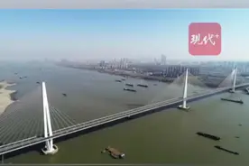 4条过江通道拟早晚高峰限行外牌车辆，南京交警发布问卷等你来支招图片