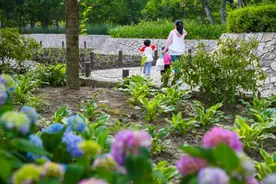 家门口逛公园丨赏花、散步、溜娃……一起去方松体育公园图片