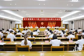 一图读懂｜望牛墩年中“成绩单”稳中向好，全力冲刺“下半场”图片