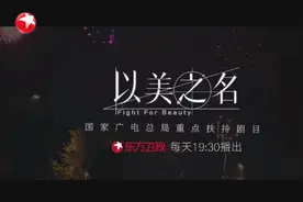 《以美之名》情感主题曲《不完美》图片