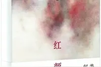 贾梦玮谈“文章之道”：用文学对历史细节“存盘”图片